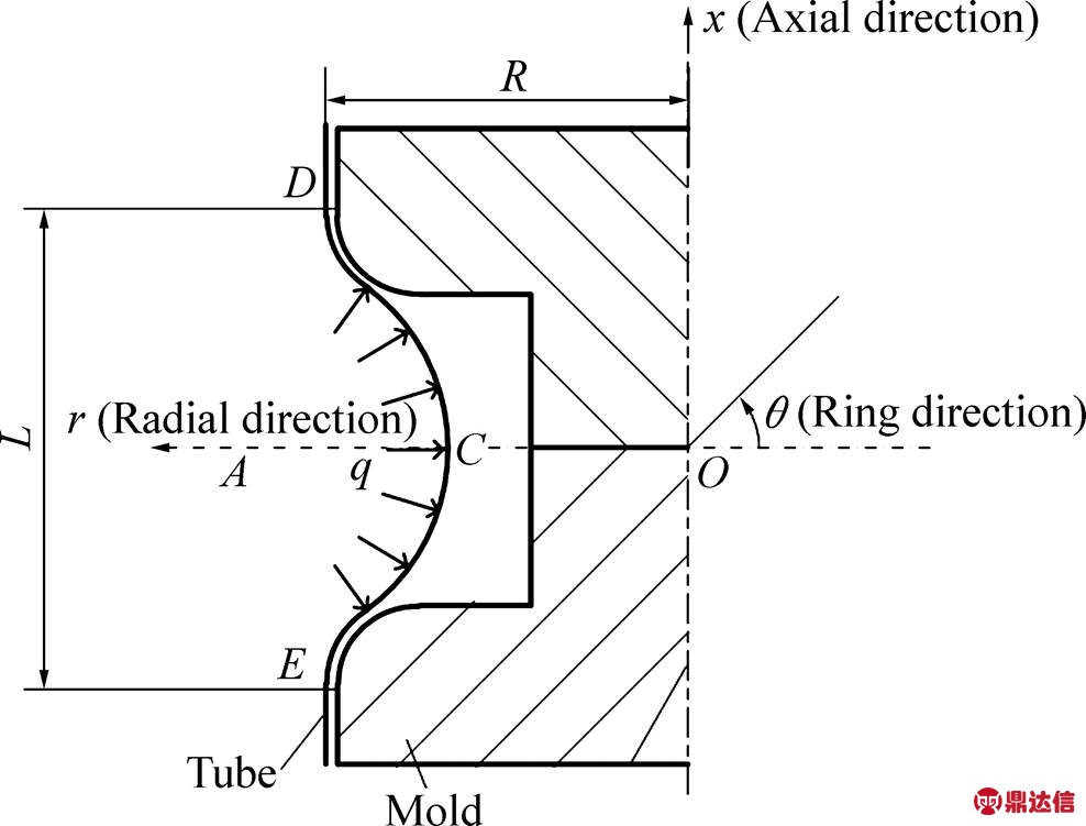 width=215.55,height=163.85