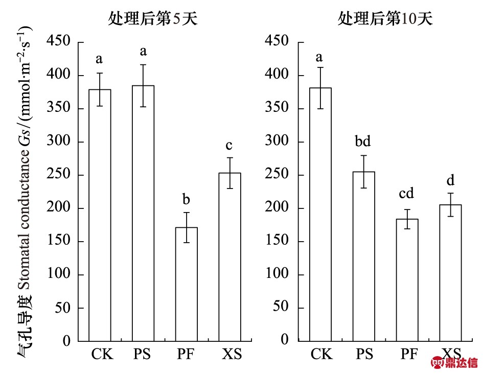 短期環割對駱駝刺氣孔導度及葉綠素熒光的影響